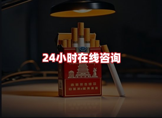 专业团队